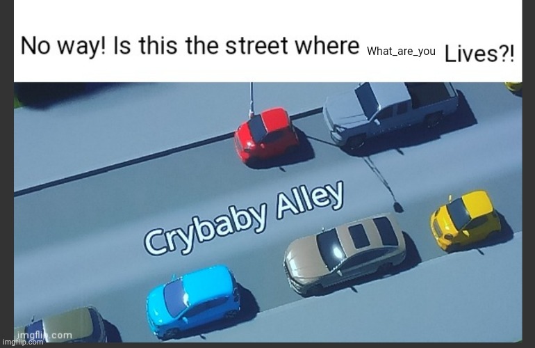 Is this the street where blank lives | What_are_you | image tagged in is this the street where blank lives | made w/ Imgflip meme maker