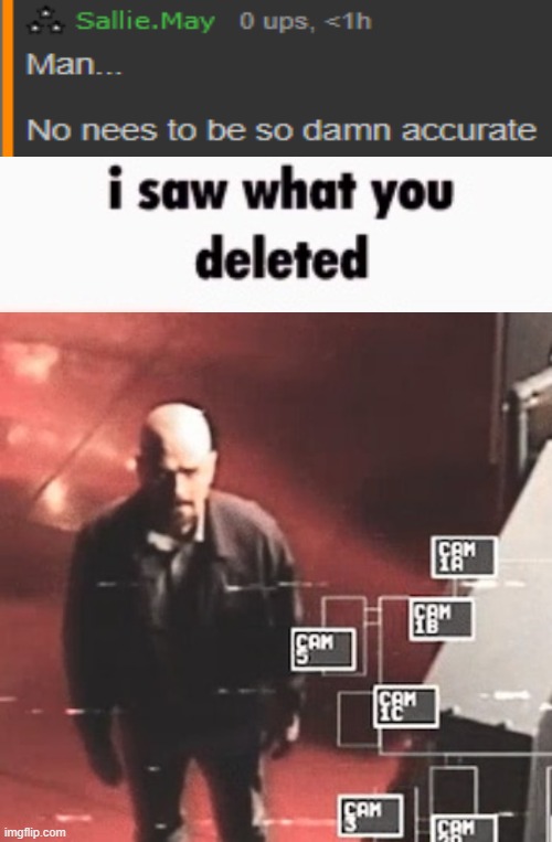 i saw what you deleted | made w/ Imgflip meme maker
