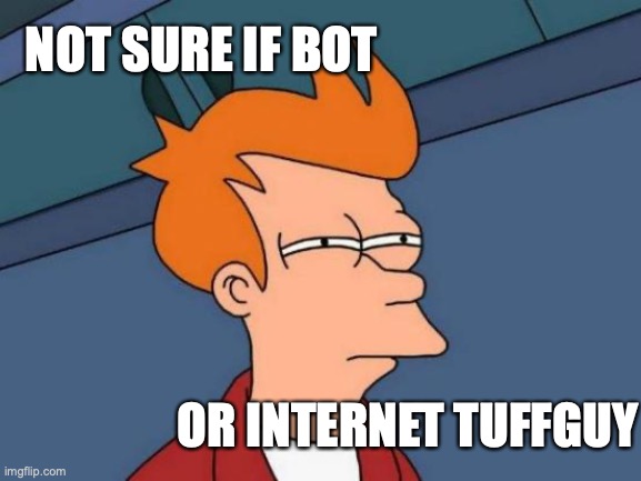 Futurama Fry | NOT SURE IF BOT; OR INTERNET TUFFGUY | image tagged in memes,futurama fry | made w/ Imgflip meme maker