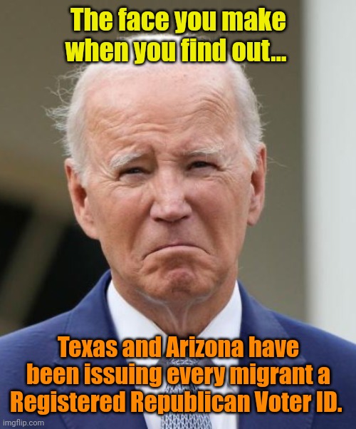 Sad Joe Biden | The face you make when you find out... Texas and Arizona have been issuing every migrant a Registered Republican Voter ID. | image tagged in sad joe biden | made w/ Imgflip meme maker