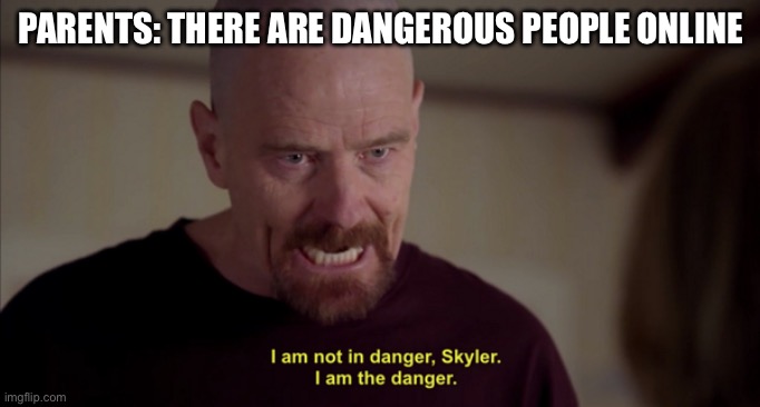 Danger | PARENTS: THERE ARE DANGEROUS PEOPLE ONLINE | image tagged in i am not in danger skyler i am the danger | made w/ Imgflip meme maker