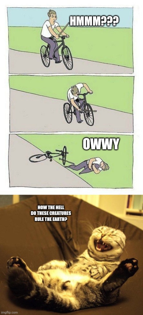 HMMM??? OWWY; HOW THE HELL DO THESE CREATURES RULE THE EARTH? | image tagged in bycicle,laughing cat | made w/ Imgflip meme maker
