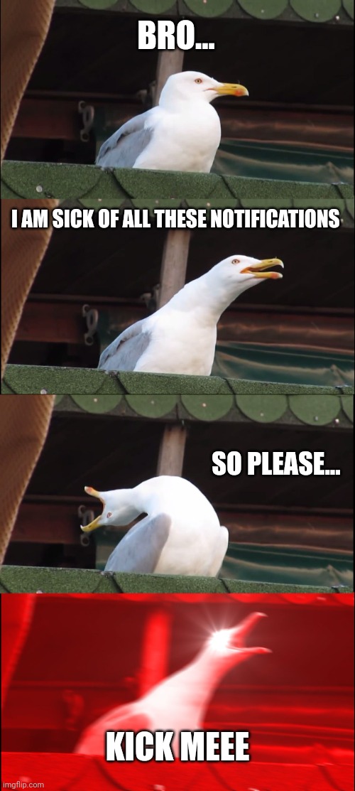 Inhaling Seagull Meme | BRO... I AM SICK OF ALL THESE NOTIFICATIONS; SO PLEASE... KICK MEEE | image tagged in memes,inhaling seagull,kick,roundhouse kick chuck norris,meme,why are you reading the tags | made w/ Imgflip meme maker