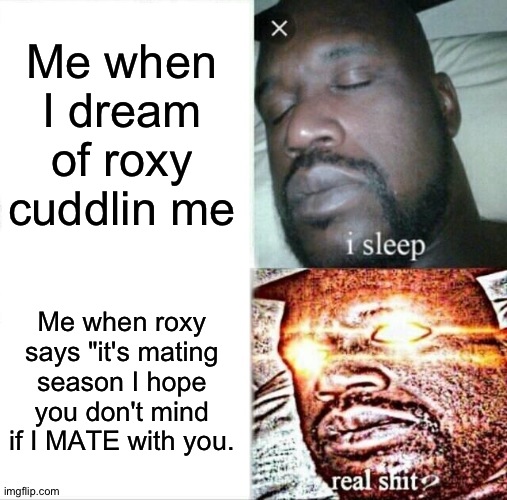 When you dream of secutity breach | Me when I dream of roxy cuddlin me; Me when roxy says "it's mating season I hope you don't mind if I MATE with you. | image tagged in memes,sleeping shaq | made w/ Imgflip meme maker