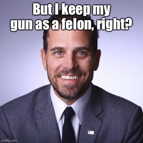 Hunter Biden | But I keep my gun as a felon, right? | image tagged in hunter biden | made w/ Imgflip meme maker