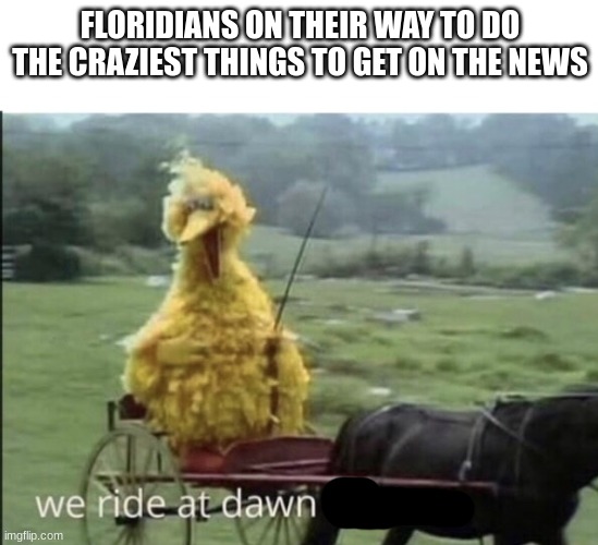 Florida man be like | FLORIDIANS ON THEIR WAY TO DO THE CRAZIEST THINGS TO GET ON THE NEWS | image tagged in we ride at dawn bitches,memes,florida man | made w/ Imgflip meme maker
