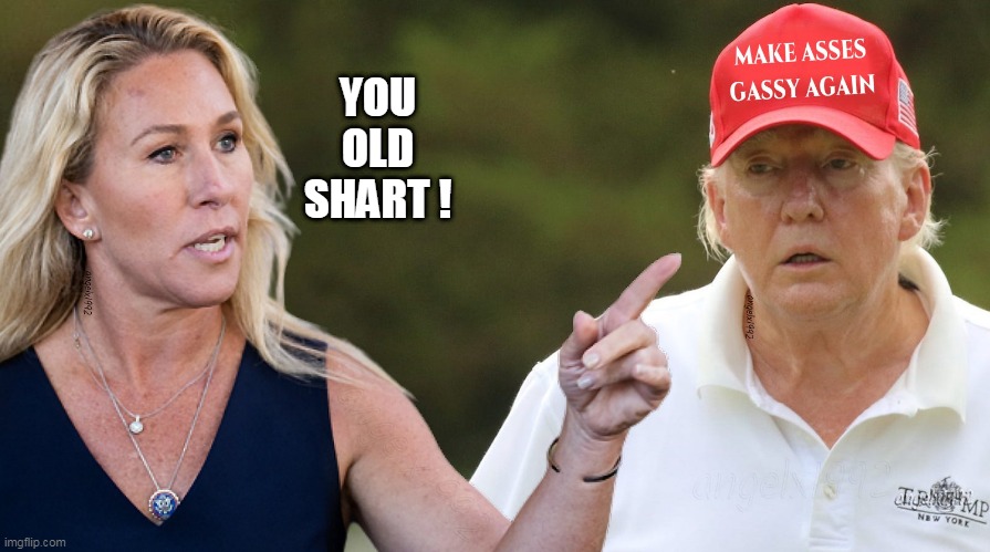 idiot | YOU
OLD
SHART ! | image tagged in idiot,marjorie taylor greene,donald trump,maga morons,clown car republicans,shart | made w/ Imgflip meme maker