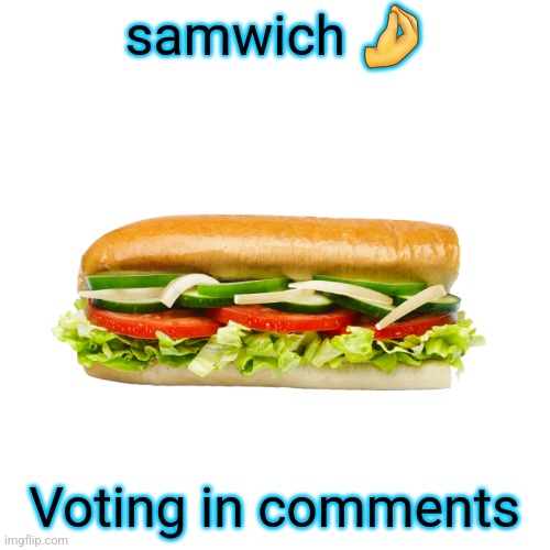 Samwich | samwich 🤌; Voting in comments | image tagged in samwich | made w/ Imgflip meme maker