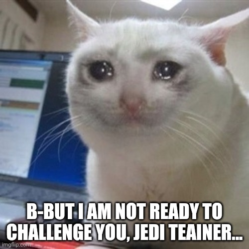 Crying cat | B-BUT I AM NOT READY TO CHALLENGE YOU, JEDI TEAINER... | image tagged in crying cat | made w/ Imgflip meme maker