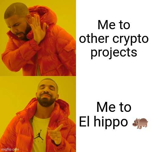 El hippo ? meme | Me to other crypto projects; Me to El hippo 🦛 | image tagged in memes,drake hotline bling | made w/ Imgflip meme maker