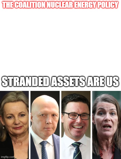 THE COALITION NUCLEAR ENERGY POLICY; STRANDED ASSETS ARE US | image tagged in stranded assets are us | made w/ Imgflip meme maker