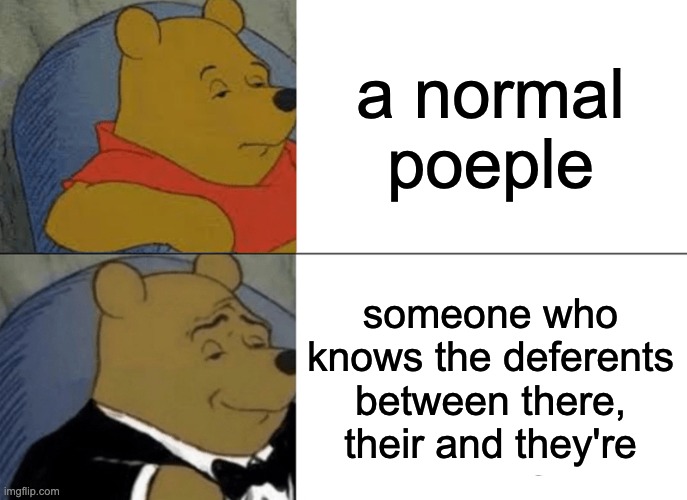 Tuxedo Winnie The Pooh Meme | a normal poeple; someone who knows the deferents between there, their and they're | image tagged in memes,tuxedo winnie the pooh | made w/ Imgflip meme maker