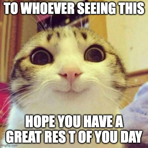 Smiling Cat | TO WHOEVER SEEING THIS; HOPE YOU HAVE A GREAT RES T OF YOU DAY | image tagged in memes,smiling cat | made w/ Imgflip meme maker