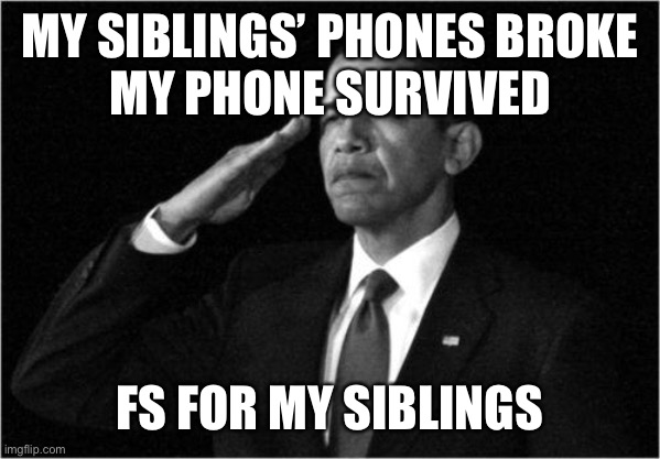 obama-salute | MY SIBLINGS’ PHONES BROKE
MY PHONE SURVIVED; FS FOR MY SIBLINGS | image tagged in obama-salute | made w/ Imgflip meme maker