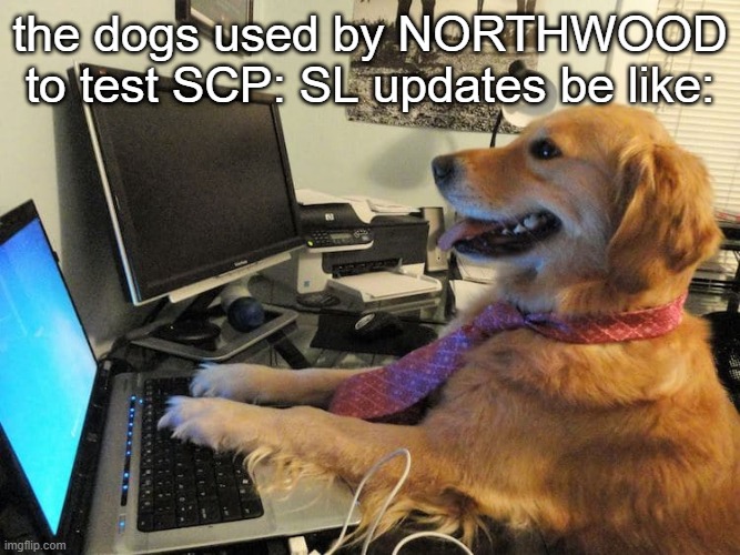 Gaming dog | the dogs used by NORTHWOOD to test SCP: SL updates be like: | image tagged in gaming dog | made w/ Imgflip meme maker
