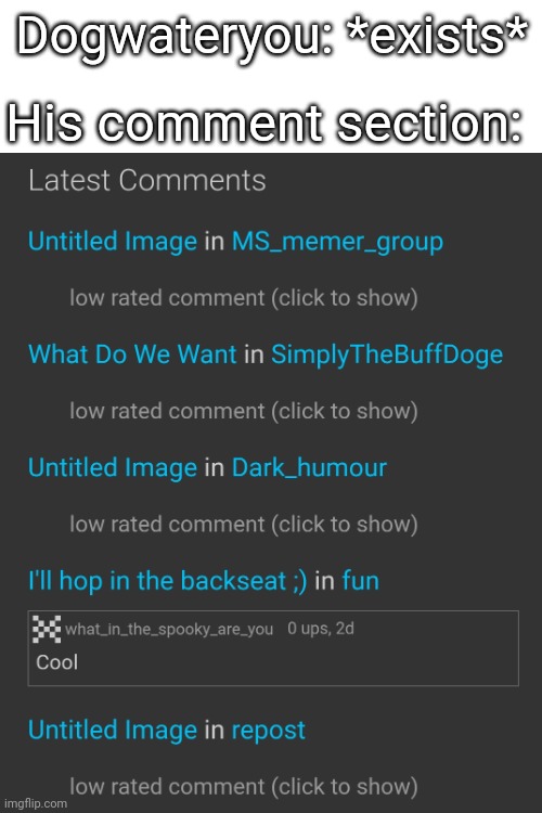 He is a low rated user fr | Dogwateryou: *exists*; His comment section: | made w/ Imgflip meme maker