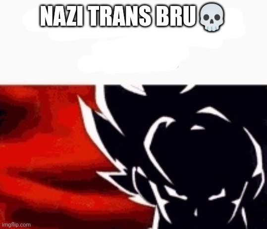 i saw what you deleted | NAZI TRANS BRU? | image tagged in i saw what you deleted | made w/ Imgflip meme maker