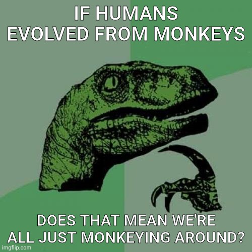Shower thoughts | IF HUMANS EVOLVED FROM MONKEYS; DOES THAT MEAN WE'RE ALL JUST MONKEYING AROUND? | image tagged in memes,philosoraptor,ai meme,humans,monkeys | made w/ Imgflip meme maker