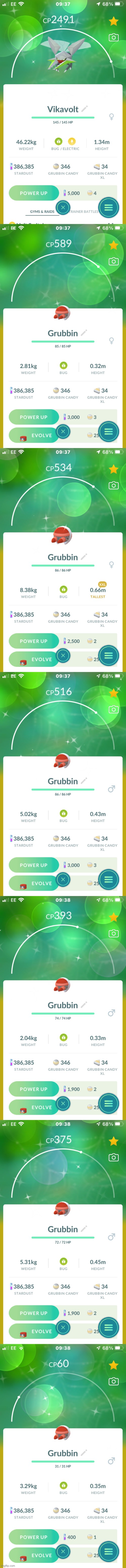 Grubbin Community Day was my most successful community day yet. I got 7 shinies. | made w/ Imgflip meme maker