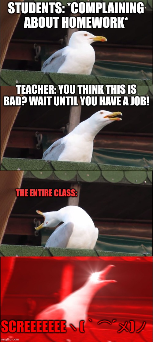 Home work on Friday !!! | STUDENTS: *COMPLAINING ABOUT HOMEWORK*; TEACHER: YOU THINK THIS IS BAD? WAIT UNTIL YOU HAVE A JOB! THE ENTIRE CLASS:; SCREEEEEEEヽ(｀⌒´メ)ノ | image tagged in memes,inhaling seagull,teachers,jobs,students,school | made w/ Imgflip meme maker