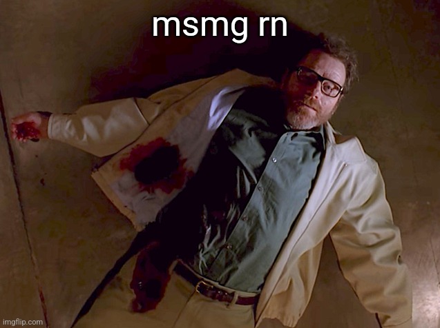 Dead Walter White | msmg rn | image tagged in dead walter white | made w/ Imgflip meme maker