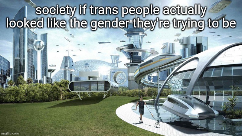 The future world if | society if trans people actually looked like the gender they're trying to be | image tagged in the future world if | made w/ Imgflip meme maker