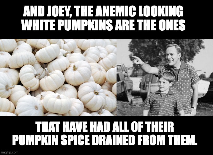 Dad joke | AND JOEY, THE ANEMIC LOOKING WHITE PUMPKINS ARE THE ONES; THAT HAVE HAD ALL OF THEIR PUMPKIN SPICE DRAINED FROM THEM. | image tagged in memes,look son | made w/ Imgflip meme maker