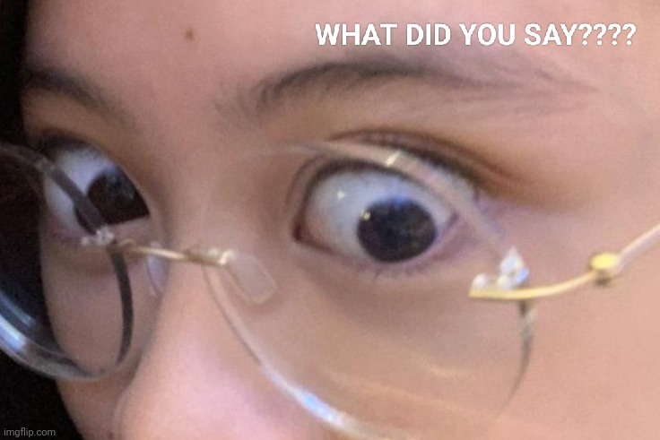 What did you say? | image tagged in wait what,excuse me what,what did you say,excuse me what the heck,side eye | made w/ Imgflip meme maker