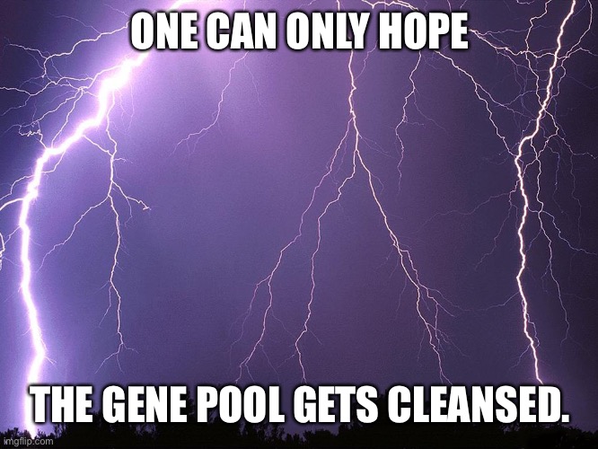 Thunderstorm | ONE CAN ONLY HOPE THE GENE POOL GETS CLEANSED. | image tagged in thunderstorm | made w/ Imgflip meme maker