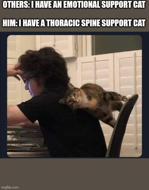 Catastrophic | OTHERS: I HAVE AN EMOTIONAL SUPPORT CAT
 
HIM: I HAVE A THORACIC SPINE SUPPORT CAT | image tagged in memes,funny cats | made w/ Imgflip meme maker