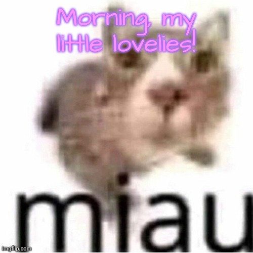 miau | Morning, my little lovelies! | image tagged in miau,lovelies | made w/ Imgflip meme maker