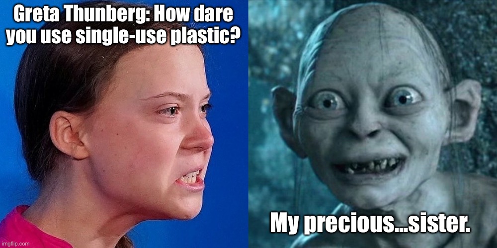 Gollum meets Greta | Greta Thunberg: How dare you use single-use plastic? My precious...sister. | image tagged in mad greta,my sister,how dare you,use plastic,my precious,comics | made w/ Imgflip meme maker