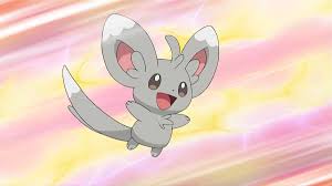 High Quality Minccino Blank Meme Template