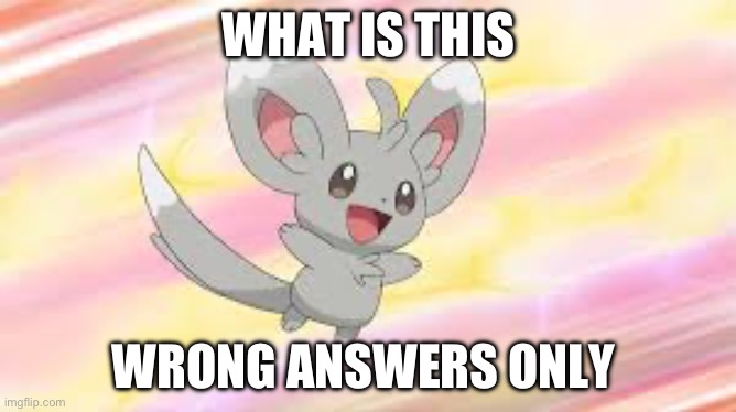 Minccino | WHAT IS THIS; WRONG ANSWERS ONLY | image tagged in minccino | made w/ Imgflip meme maker