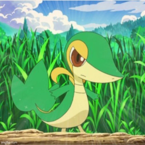 Hi chat | image tagged in snivy wont take this | made w/ Imgflip meme maker