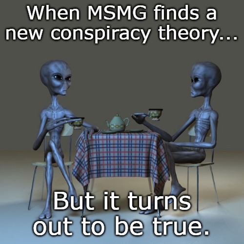 When MSMG finds a new conspiracy theory... But it turns out to be true. | image tagged in alien view | made w/ Imgflip meme maker
