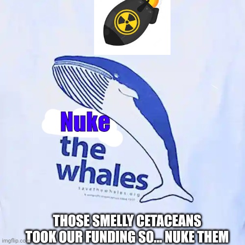 Retaliation | Nuke; THOSE SMELLY CETACEANS TOOK OUR FUNDING SO... NUKE THEM | image tagged in whale | made w/ Imgflip meme maker