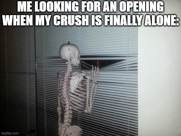 "The cost is clear" | ME LOOKING FOR AN OPENING WHEN MY CRUSH IS FINALLY ALONE: | image tagged in skeleton looking out window,funny,funny memes,fun,memes,relatable | made w/ Imgflip meme maker