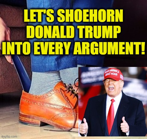 Ultimate Strawman | LET'S SHOEHORN
DONALD TRUMP
INTO EVERY ARGUMENT! | image tagged in donald trump | made w/ Imgflip meme maker