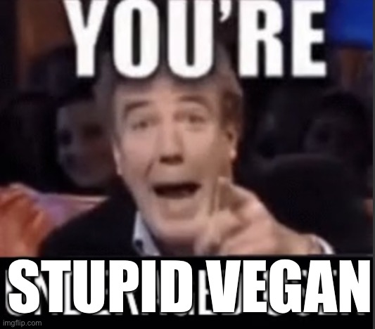 You’re underage user | STUPID VEGAN | image tagged in you re underage user | made w/ Imgflip meme maker