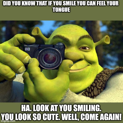 Clever title that won't give away the meme | DID YOU KNOW THAT IF YOU SMILE YOU CAN FEEL YOUR 
TONGUE; HA. LOOK AT YOU SMILING. YOU LOOK SO CUTE. WELL, COME AGAIN! | image tagged in shrek camera,camera,funny | made w/ Imgflip meme maker