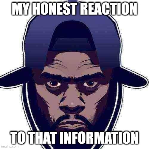 Made this with the new ai template thing | MY HONEST REACTION; TO THAT INFORMATION | made w/ Imgflip meme maker
