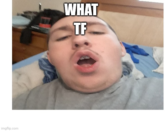 Make your own meme | WHAT; TF | image tagged in make your own meme | made w/ Imgflip meme maker