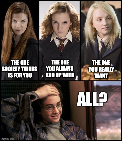 Harry Potter crushes | THE ONE
SOCIETY THINKS 
IS FOR YOU; THE ONE
YOU ALWAYS 
END UP WITH; THE ONE
YOU REALLY
WANT; ALL? | image tagged in harry potter,ginny weasley,hermione granger,luna lovegood | made w/ Imgflip meme maker