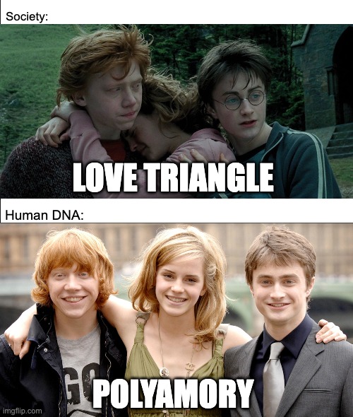 Harry Potter Love Triangle | Society:; LOVE TRIANGLE; Human DNA:; POLYAMORY | image tagged in harry potter,ron weasley,hermione granger,polyamory,love triangle | made w/ Imgflip meme maker