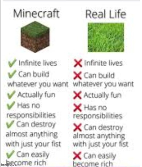 real | image tagged in minecraft | made w/ Imgflip meme maker