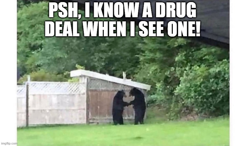 Someone Call the Cops! | PSH, I KNOW A DRUG DEAL WHEN I SEE ONE! | image tagged in drugs | made w/ Imgflip meme maker