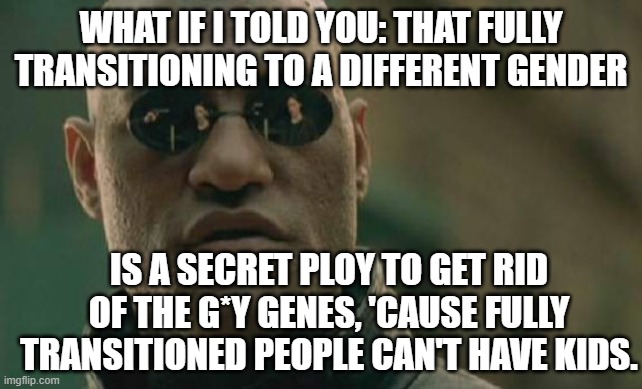 The gene pool is real. | WHAT IF I TOLD YOU: THAT FULLY TRANSITIONING TO A DIFFERENT GENDER; IS A SECRET PLOY TO GET RID OF THE G*Y GENES, 'CAUSE FULLY TRANSITIONED PEOPLE CAN'T HAVE KIDS. | image tagged in memes,matrix morpheus,transitioning,transgender,gay genes,trans | made w/ Imgflip meme maker