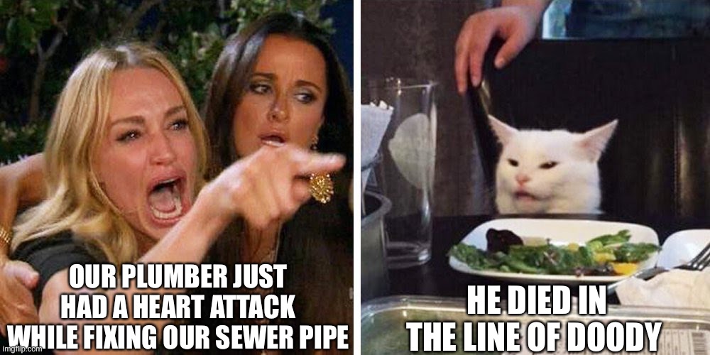 Smudge the cat | OUR PLUMBER JUST HAD A HEART ATTACK WHILE FIXING OUR SEWER PIPE; HE DIED IN THE LINE OF DOODY | image tagged in smudge the cat | made w/ Imgflip meme maker