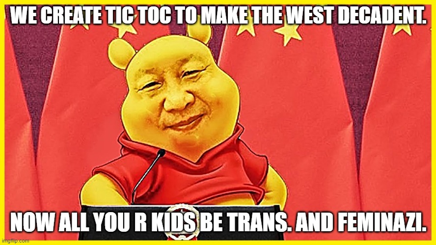 Winnie The Ping is Xi Xi the Pooh. And tik tok is evil. | WE CREATE TIC TOC TO MAKE THE WEST DECADENT. NOW ALL YOU R KIDS BE TRANS. AND FEMINAZI. | image tagged in memes,transgender,feminazi,made in china,tik tok,kids these days | made w/ Imgflip meme maker